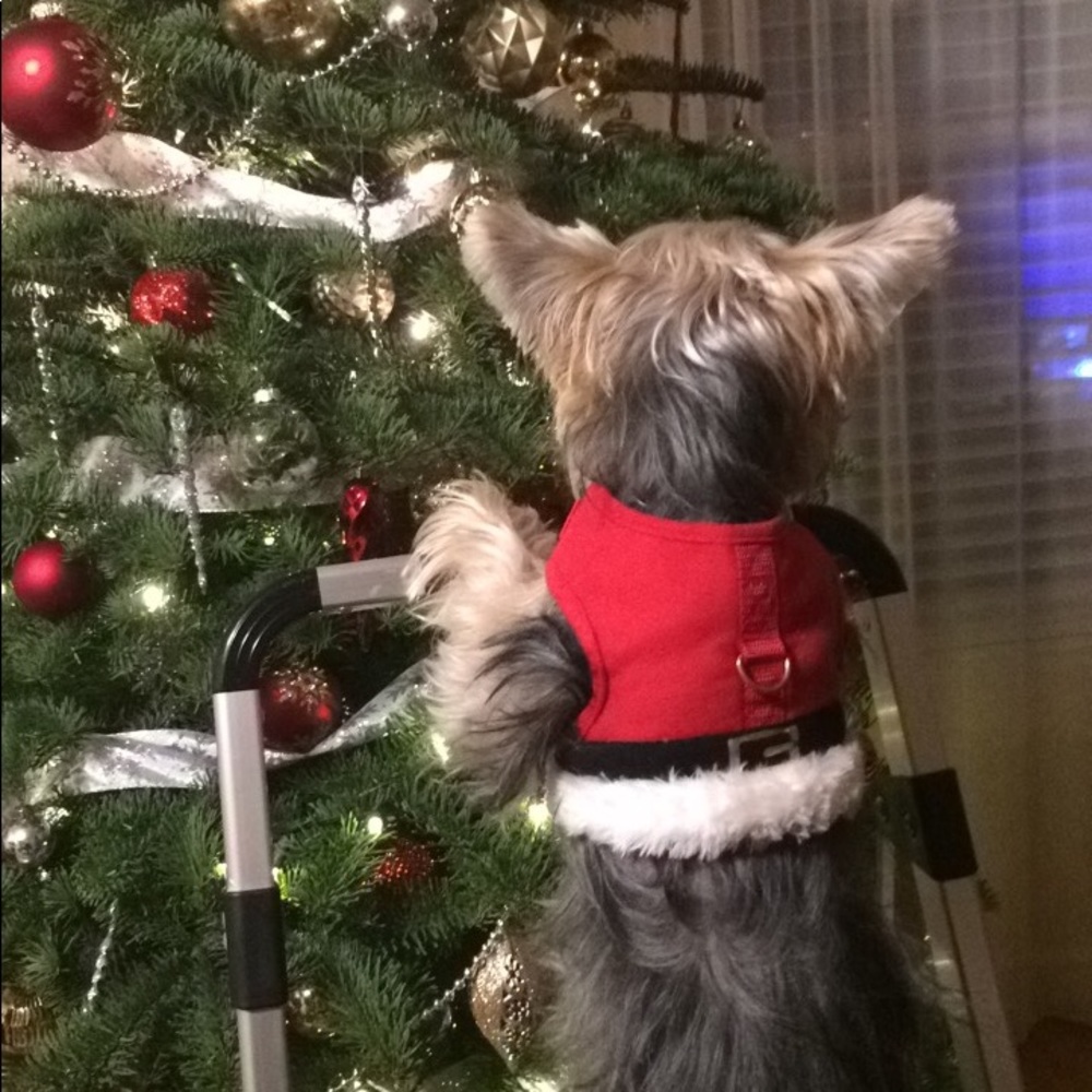 Meet your Posher, Svetlana